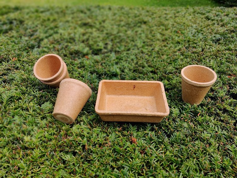 Indian Youth - Eco Ware Edible Cutlery | Indian Students Belgium