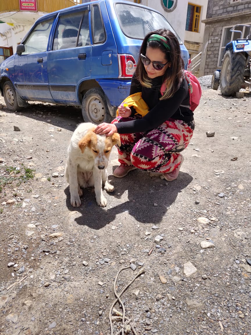 Travel | Amanda Sodhi | Digital Nomad | Entrepreneur
