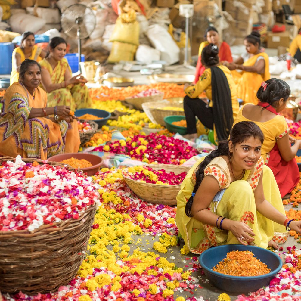 Green startup | Phool