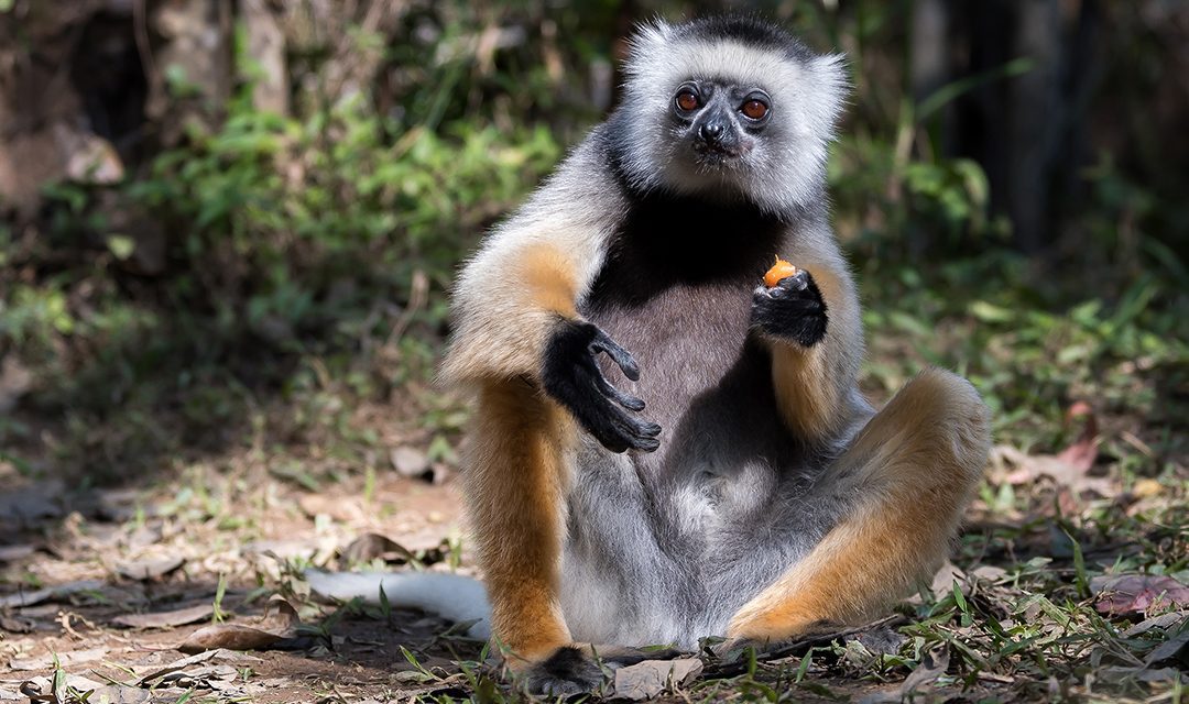 Arshdeep Singh: Teen wildlife photographer seeing the world through the lens