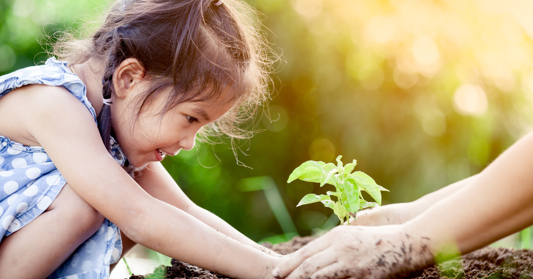 Planting forests, creating shoes from plastic, making glass into sand – these young Indian activists are conservationists with a plan 