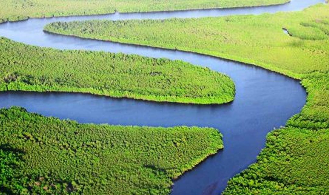 Young Indian environmentalists are working hard to save our planet