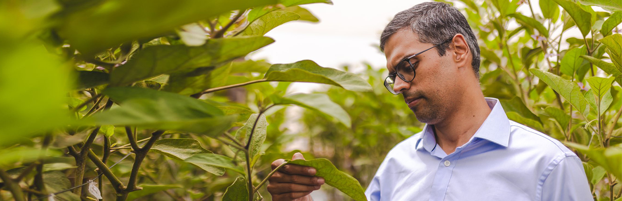 Kheyti to Phool: 5 Indian green startups to look out for in 2023 