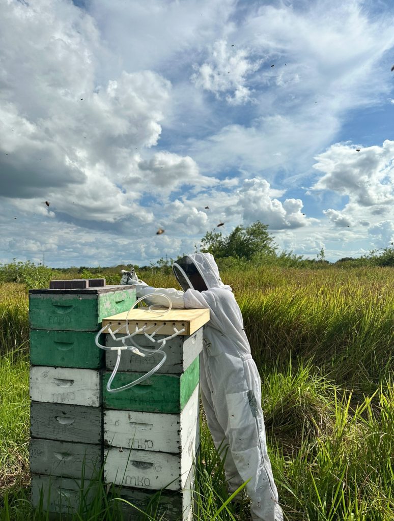 Eco-Friendly Pesticide  | Global Indian