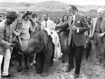 Dali received a baby elephant from Air India 