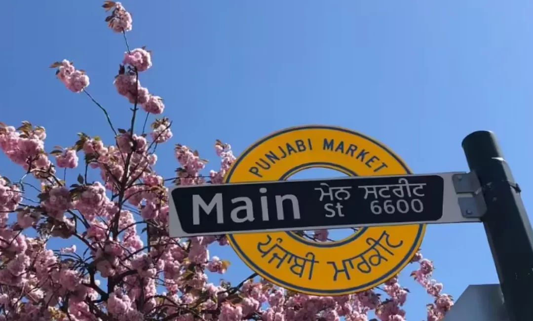 Speaking of Belonging: How Indian languages shape diaspora identity across generations